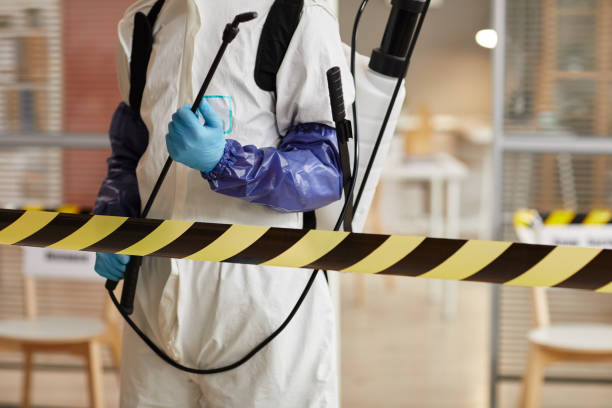 Professional Sewage Cleanup technician working in Port Jefferson, NY